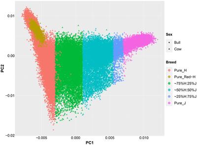 Improving Genomic Prediction of Crossbred and Purebred Dairy Cattle